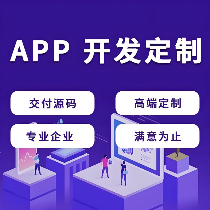 软件定制开发:选择与创新的故事